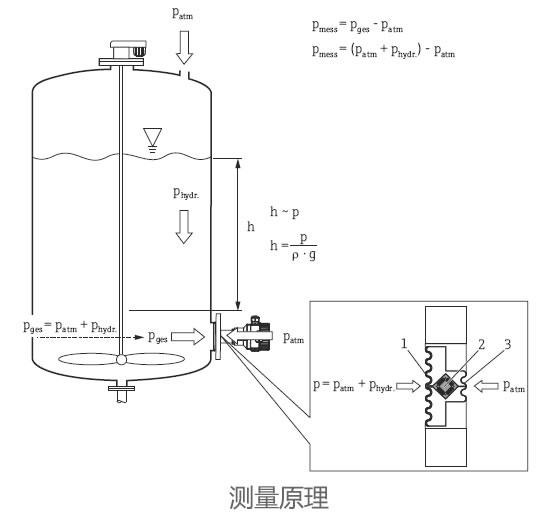 德國E+H – FMB52靜壓式液位開關(guān)/液位計