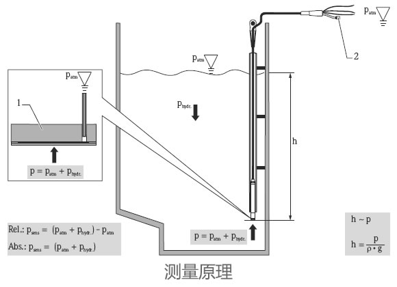 德國E+H – FMX21靜壓式液位開關(guān)/液位計(jì)